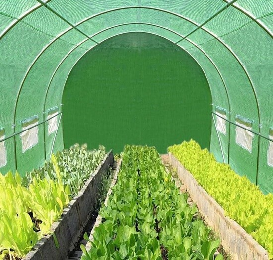 Tunel ogrodowy foliowy – idealny na warzywa i rośliny
